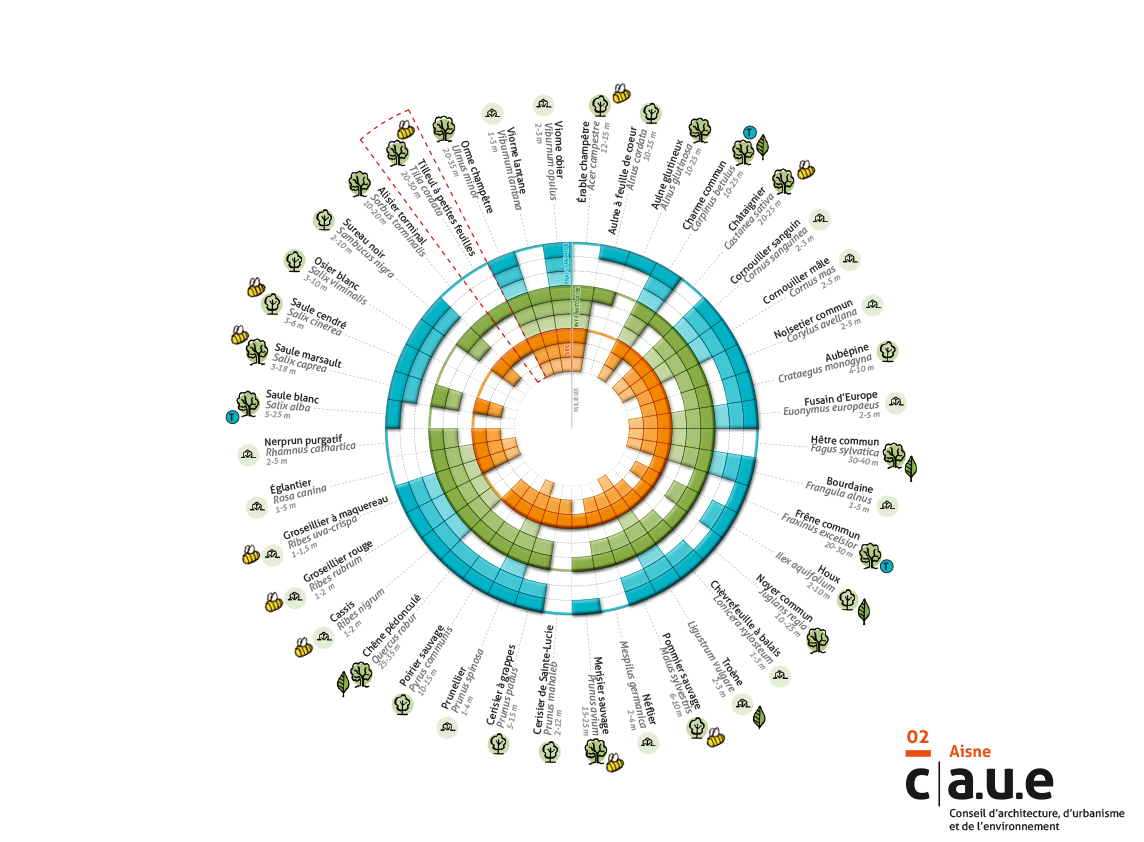 Fiche pedagogiqe de palette vegetale